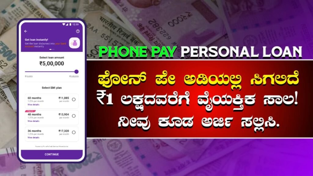 Phone Pay Loan