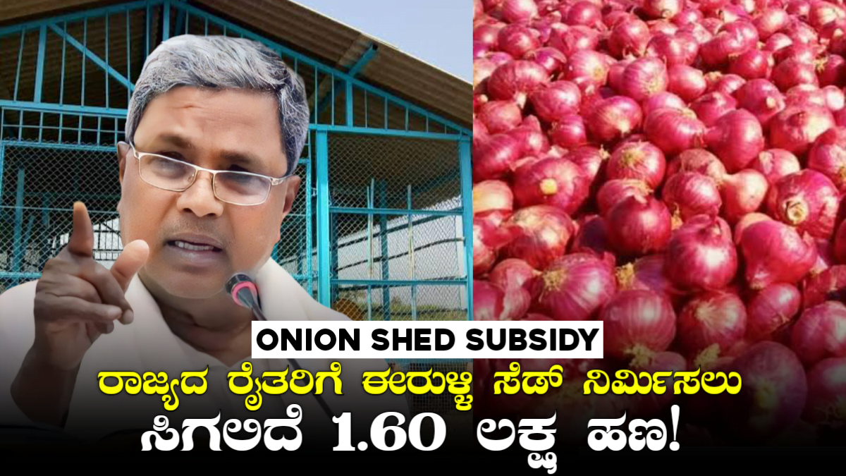 Onion Shed Subsidy