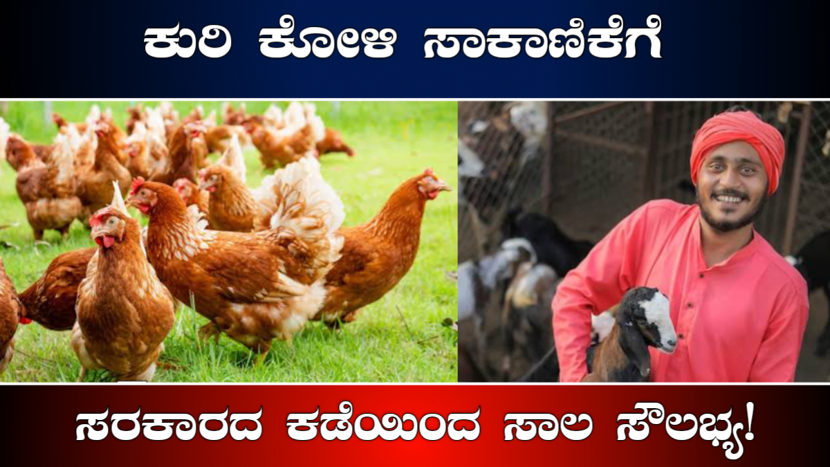 Poultry and goat farming